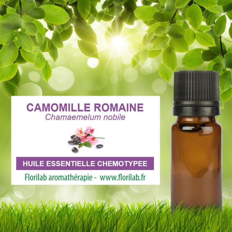 Fiche sur l'huile essentielle de Camomille Romaine - Bienfaits